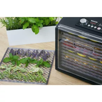 Uscător de fructe SFD 6600BK SENCOR