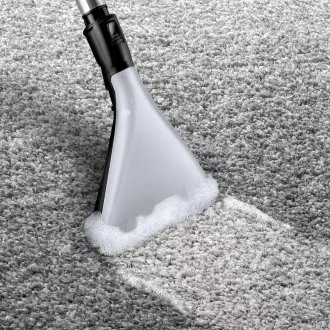 BWD421PET ASPIRATOR DE CASĂ MULTIFUNCȚIONAL BOSCH