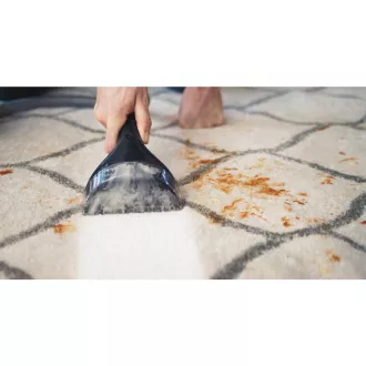 1558N SPORTCL. PENTRU ÎNDEPĂRTAREA PETELOR BISSELL