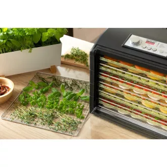 Uscător de fructe SFD 6601BK SENCOR