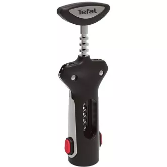 K2073414 INGENIO TEFAL DESCHIS