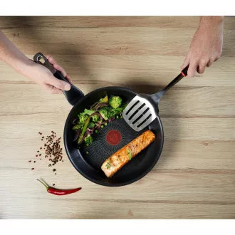 G2550272 TIALA NELIMITAT 20 cm TEFAL
