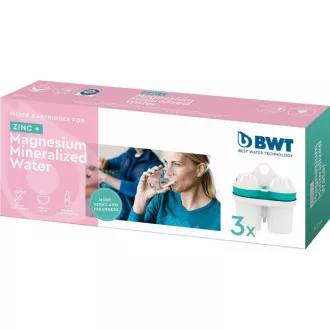 FILTRE DE SCHIMB ZINC + MAGNEZIU 3BUC BWT FILTRE DE SCHIMB ZINC + MAGNEZIU 3BUC BWT