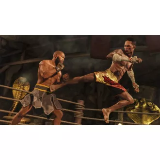 Jocul EA Sports UFC 4 PS4 EA