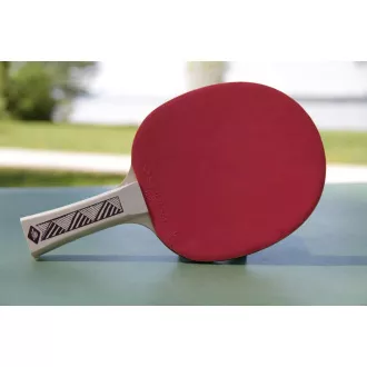 DONIC Rachetă de tenis de masă CHAMPS LINE 150 FSC
