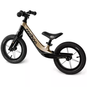 Cariboo Magnesium Air - NEGRU/OAREI Cariboo Magnesium Air - NEGRU/OAREI