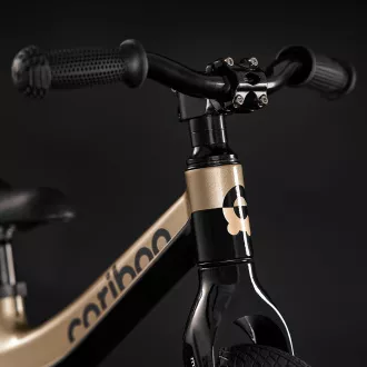 Cariboo Magnesium Air - NEGRU/OAREI Cariboo Magnesium Air - NEGRU/OAREI