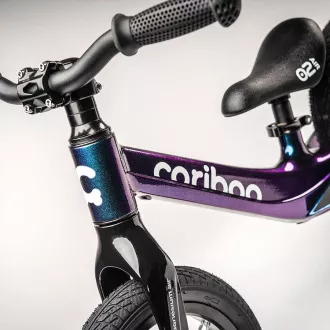 Cariboo Magnesium Air - CHAMELEON