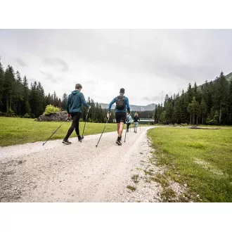Bețe de trekking pentru mers nordic cu mâner ergonomic din plută, 135 cm, 2 buc, albastru