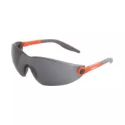 Ochelari V6100