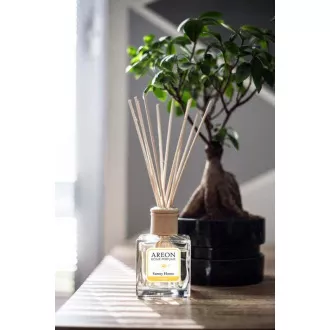 PARFUM DE ACASĂ AREON 150 ml - Sunny Home
