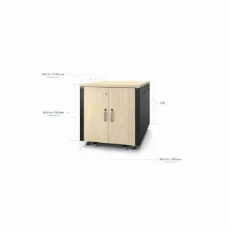 APC NetShelter izolat fonic, 12U, carcasă pentru rack pentru server, arțar