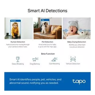 TP-LINK Tapo C220 - cameră IP cu înclinare și WiFi, 4MP (2560*1440), ONVIF TP-LINK Tapo C220 - cameră IP cu înclinare și WiFi, 4MP (2560*1440), ONVIF