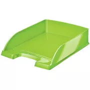 Cutie de depozitare LEITZ WOW, verde