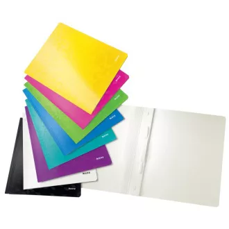 LEITZ Cutie de legătorie cu WOW, A4, verde