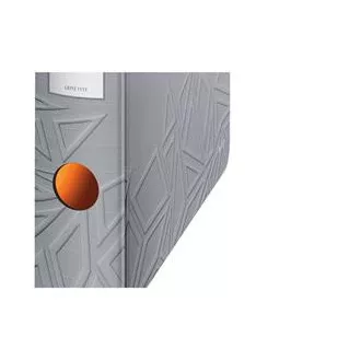 LEITZ Îndosariere mobilă 180° Active UrbanChic, 65 mm, gri închis