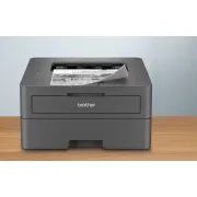Brother HL-L2402D (30 ppm, USB 2.0, duplex) - Utilizat