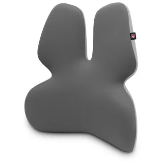 CONECTAȚI PENTRU SĂNĂTATE GamaPro Suport anatomic pentru scaun lombar, GRI