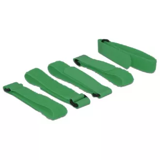Delock Închidere cu cârlig și buclă L 300 mm x l 20 mm 5 buc cu buclă verde