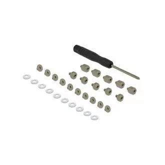 Set de montare Delock 31 piese pentru SSD / Modul M.2