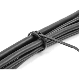 Delock Clemă de cablu cu cap plat, L 205 x l 2,5 mm, 100 buc. neagră Delock Clemă de cablu cu cap plat, L 205 x l 2,5 mm, 100 buc. neagră