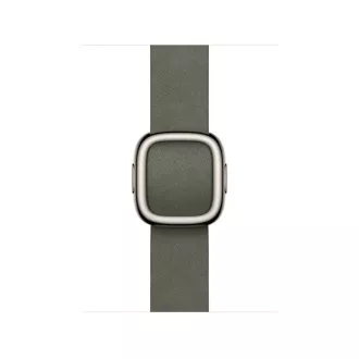 Ceas Acc/42/Cataramă modernă gri salvie - L