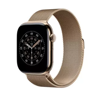 Ceas Acc/46/Auriu Milanese Loop - M/L