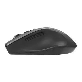 ASUS WT425/Ergonomic/Optic/Drepți/1600 DPI/Wireless USB/Gri