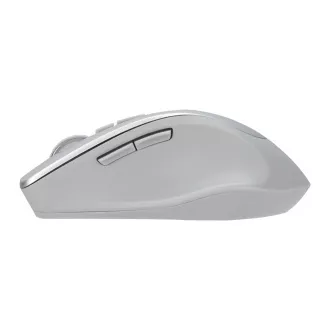 ASUS WT425/Ergonomic/Optic/Drepți/1600 DPI/Wireless USB/Argintiu