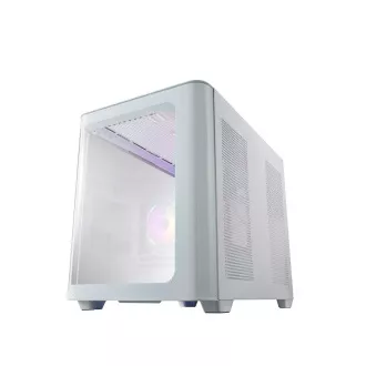FSP S380-WA/Micro ATX/Transparent/Alb