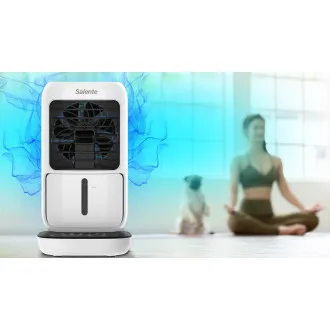 Salente IceTop, răcitor de birou 3 în 1, ventilator și umidificator, alb