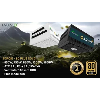 EVOLVEO G750, 750W, ATX3.1, 14cm, aPFC, 80+GOLD, 3 ani de funcționare