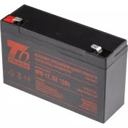 Baterie T6 Power NP6-12, 6V, 12Ah, F2