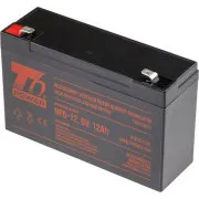 Baterie T6 Power NP6-12, 6V, 12Ah, F2