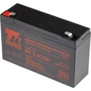 Baterie T6 Power NP6-12, 6V, 12Ah, F2