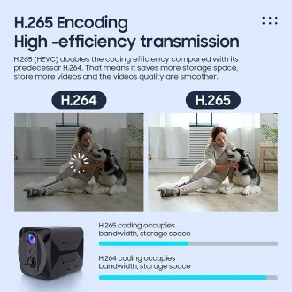 Mini cameră Viking S309 Wifi/1080P/vedere nocturnă/senzor de mișcare/2500mAh/aplicație mobilă