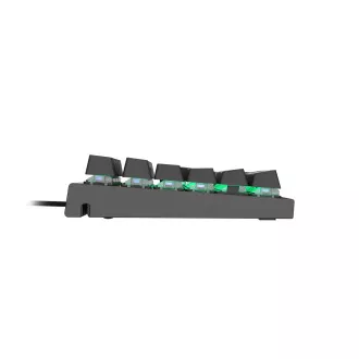 Tastatură mecanică Genesis Gaming THOR 300/RGB/Outemu Blue/Wireless USB/US layout/Negru