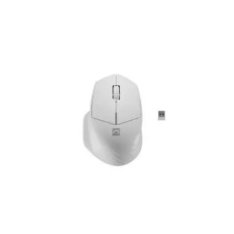 Mouse optic Natec SISKIN 2/Office/Optic/Pentru dreptaci/1600 DPI/USB+BT/Alb Mouse optic Natec SISKIN 2/Office/Optic/Pentru dreptaci/1600 DPI/USB+BT/Alb