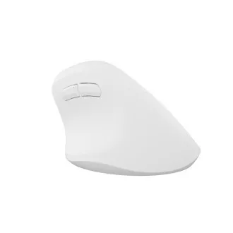 Mouse wireless Natec CRAKE 2/Office/Optic/2.400 DPI/USB+BT/Alb/Vertical/Optic/Pentru utilizatori dreptaci