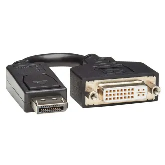 Adaptor video DisplayPort / DVI (Mascul/Mamă), 15.2cm