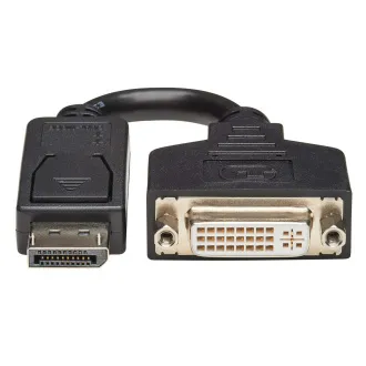 Adaptor video DisplayPort / DVI (Mascul/Mamă), 15.2cm