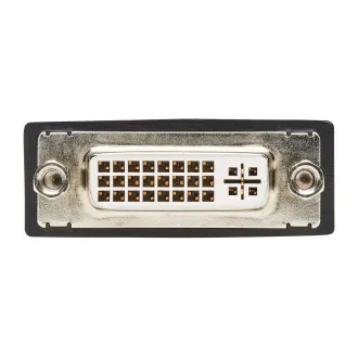 Adaptor video DisplayPort / DVI (Mascul/Mamă), 15.2cm