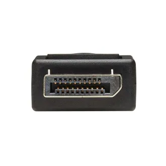 Adaptor video DisplayPort / DVI (Mascul/Mamă), 15.2cm