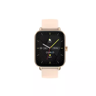CARNEO Versa HR+/Rose Gold/Sport Band/Roz CARNEO Versa HR+/Rose Gold/Sport Band/Roz