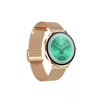 CARNEO Phoenix HR+ a 2-a generație/41 mm/aur/Brânză elegantă/aur
