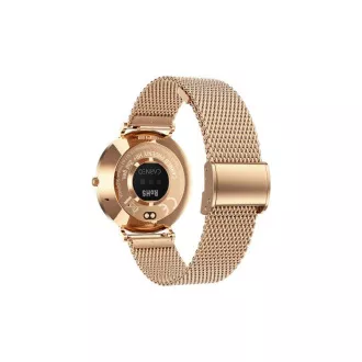 CARNEO Phoenix HR+ a 2-a generație/41 mm/aur/Brânză elegantă/aur