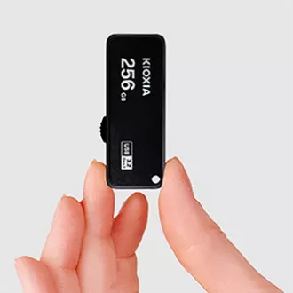 Unitate flash USB Kioxia, USB 3.0, 256 GB, Yamabiko U365, Yamabiko U365, negru, LU365K256GG4