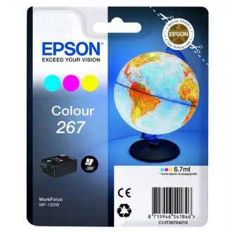 Epson T2670 (C13T26704010) - Cartuș, color