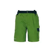 Pantaloni scurți STANMORE verde / negru 48