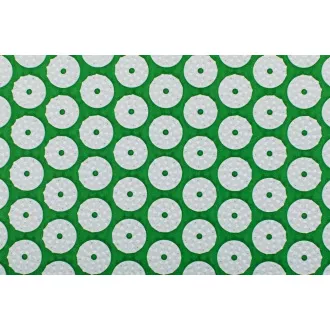 Saltea de exerciții Acupressură PREMIUM cu pernă 67x42x2 cm